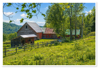 Maple Grove Farms of Vermont
